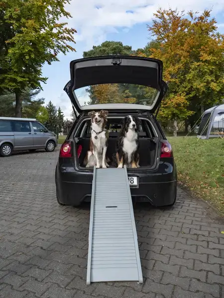 99335 sammenleggbar hunderampe 2 Sammenleggbar hunderampe - bilde 2