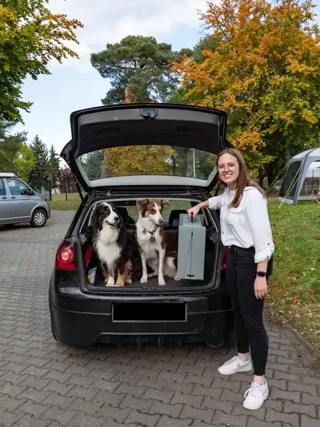 99335 sammenleggbar hunderampe 3 Sammenleggbar hunderampe - bilde 3